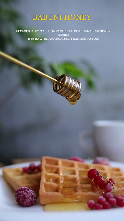 Local Ontario Honey (ecologically made local Canadian honey) image 4