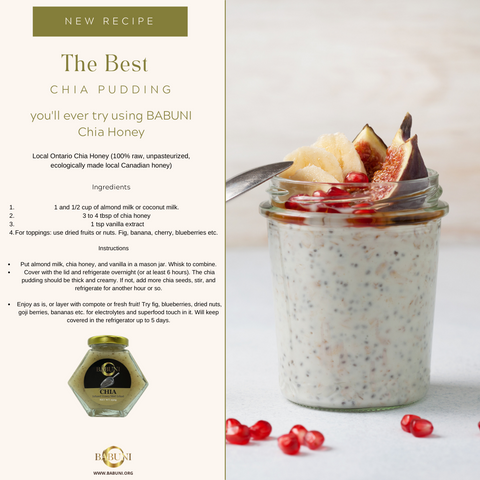 Chia pudding using BABUNI Chia honey.