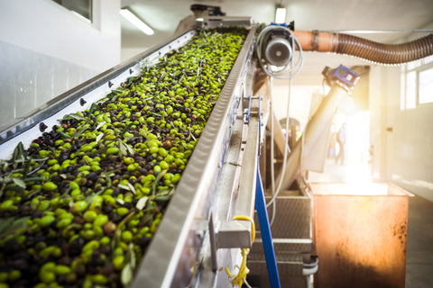 1 Case (12 x 500 ml) First Cold Pressed Olive Oil, 100% ITALIAN Olives image 4
